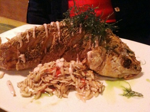 Fish