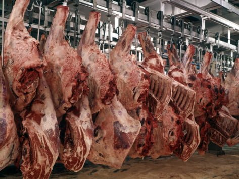 Slaughterhouse meat-locker