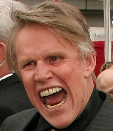 gary_busey