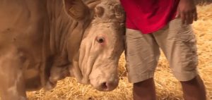 Screenshot 2016-01-10 at 12.08.35 PM